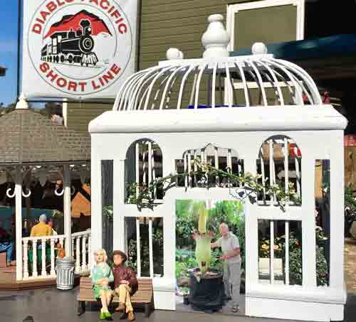 greenhouse3