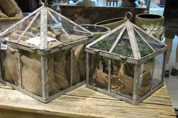 greenhouse4
