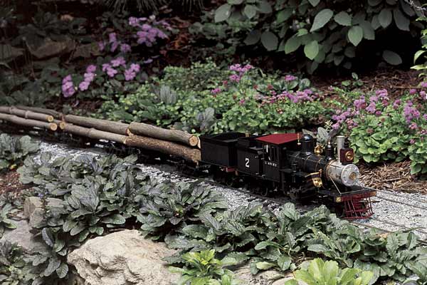 model locomotive in garden railway