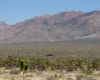 A distant shot of a train passing through the mountains