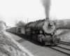 A train passing beneath a bridge