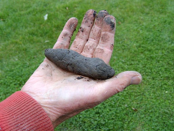 hand holding blob of soil