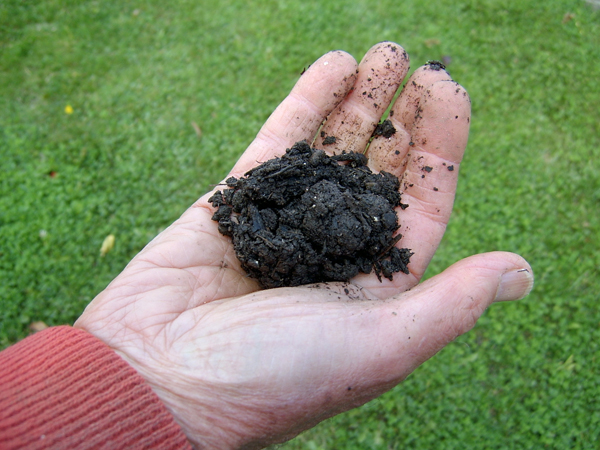 hand holding soil