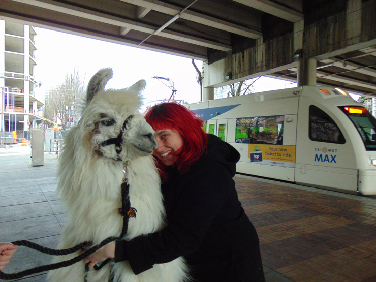 light_rail_llama