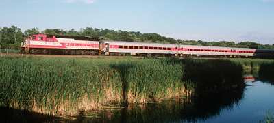 MBTA reeds