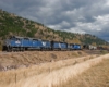 A train passing through a grassy area