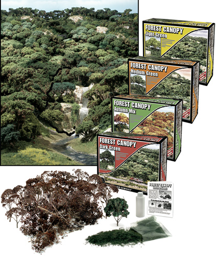 Forest Canopy