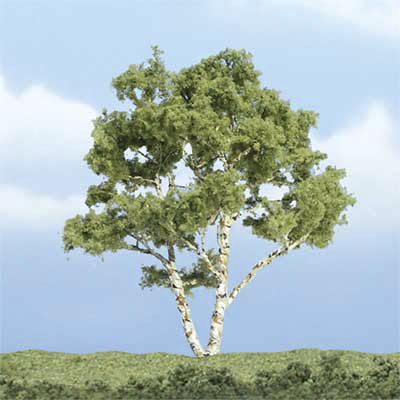 Premium Trees