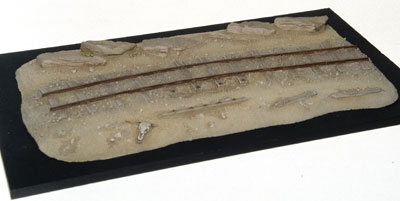 Scenery base