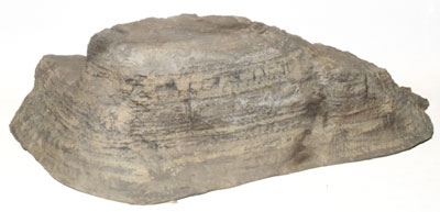 Mesa