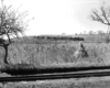 Taken from a distance, a train moving through a field