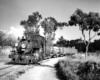 A train turning the corner surrounded by trees