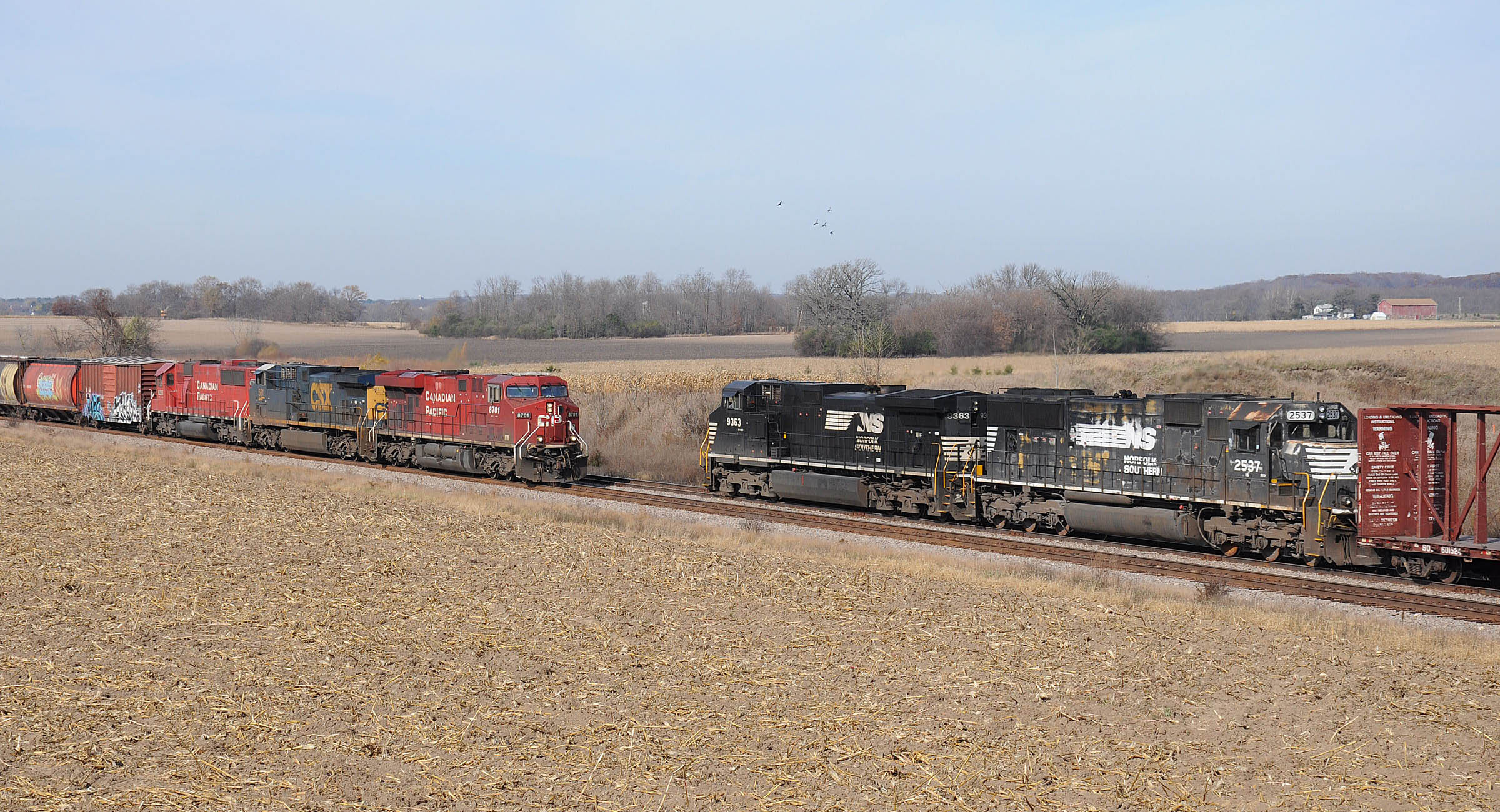 NS9363IxoniaWI11214_edited1