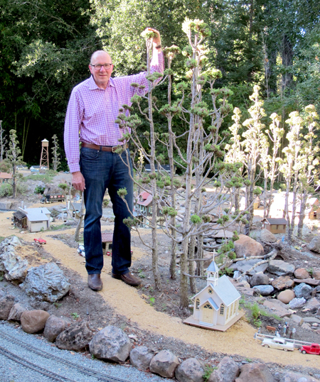 man standing next to tall miniature trees