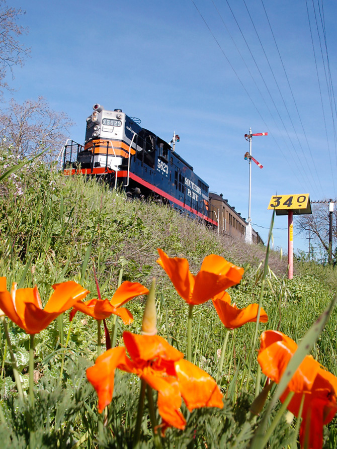 Southern Pacific