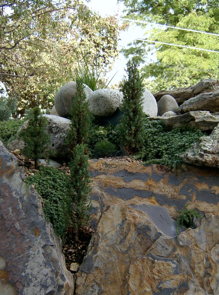 rocks with trees planted in crevises
