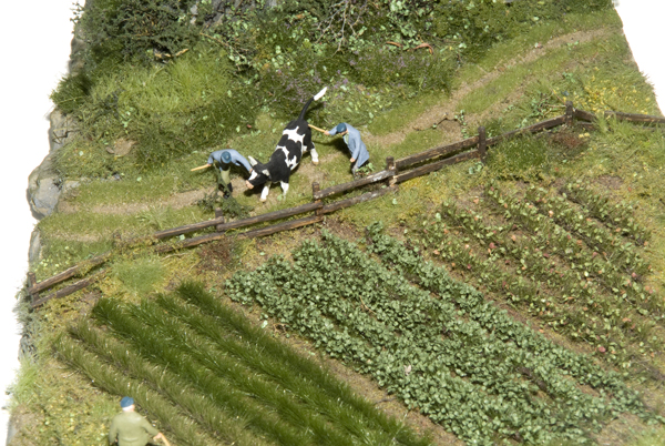 Scenic Express Silfor MiniNatur crop rows
