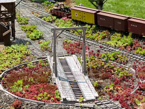 sedum growing around turntable