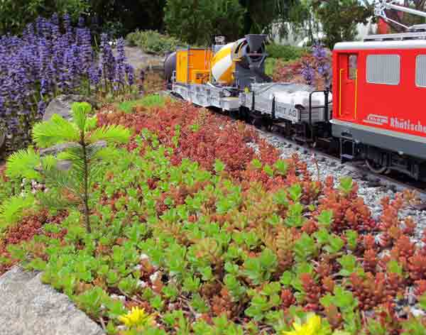 field made of sedumw with train passing by