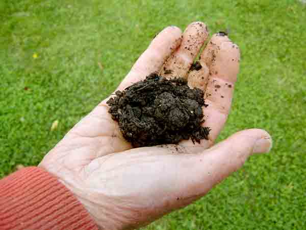 hand holding soil