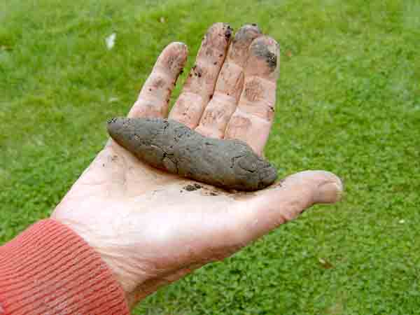 hand holding compacted soil: The basics of garden soil