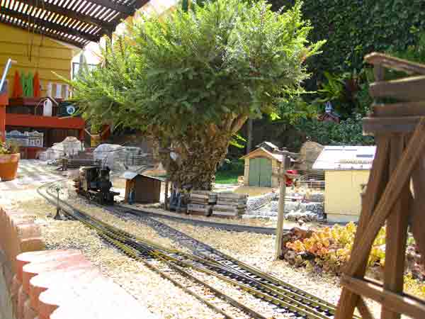 tree next to tracks on garden railway