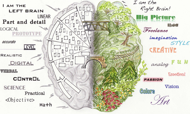 illustration of two sides of the brain