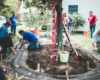 A Special Wish garden railway project