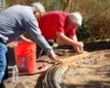 Make-A-Wish Railway Project