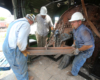 A closeup shot of three workers removing a grate from a train