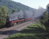 A train passing through a hilly area with lots of trees