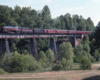 A train passing over a bridge surrounded by trees