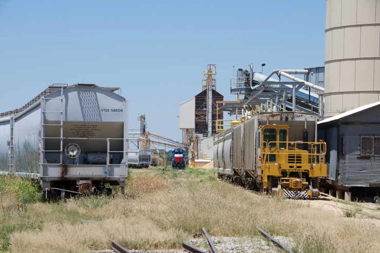 Texas_Central_Brady_Harwell