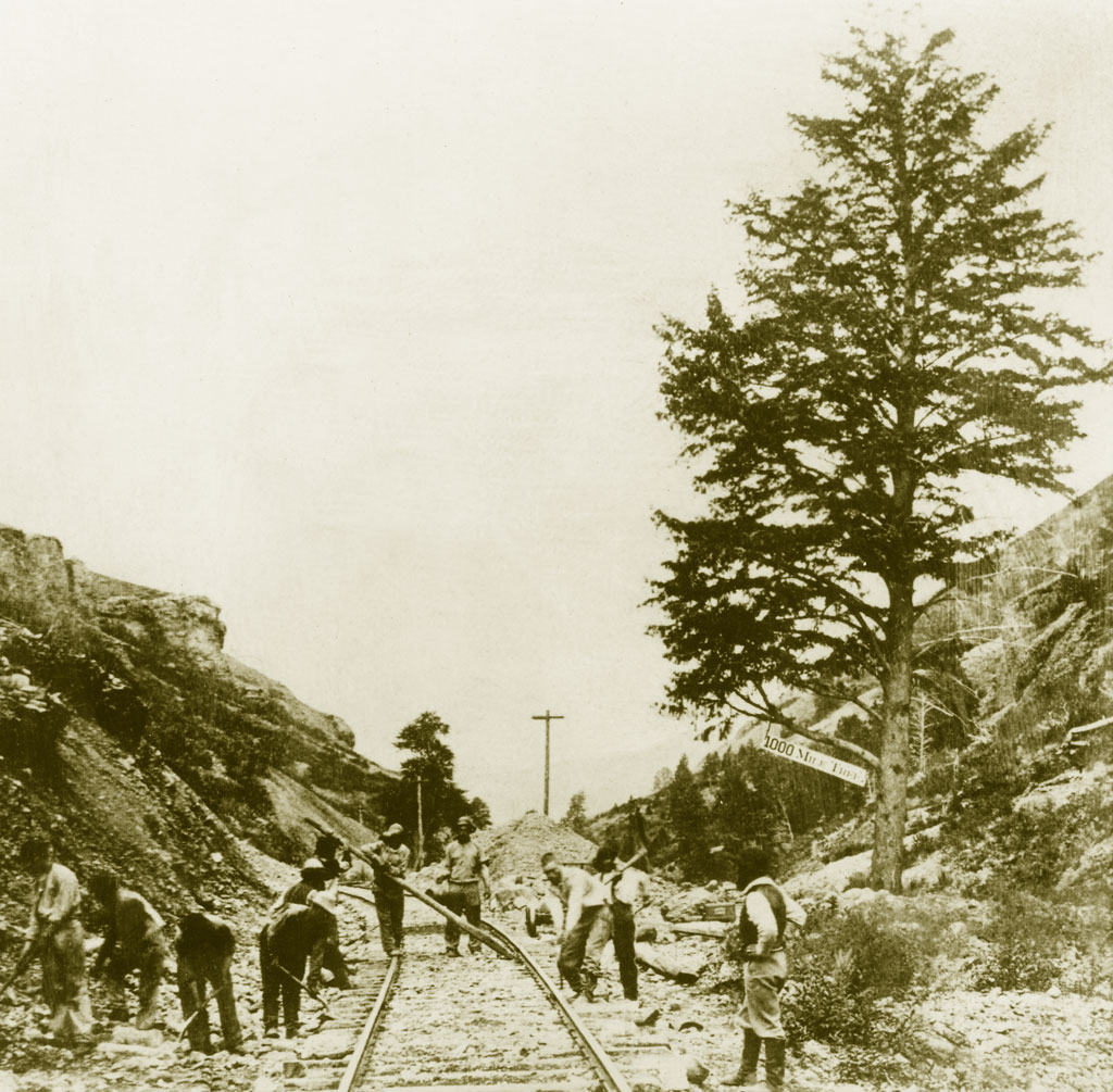 Timeline Union Pacific 1000 mile tree track construction