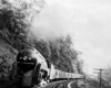 A train turning a corner as it passing through a forest