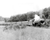 A train passing through a forest