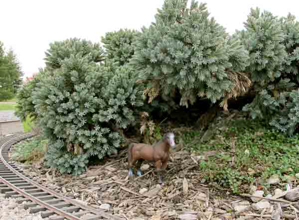miniature tree with model horse