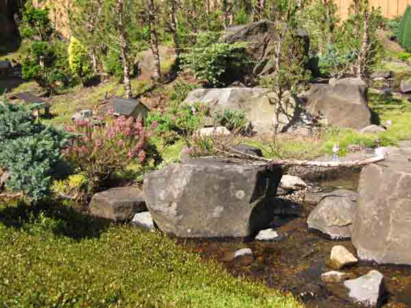 using_shrubs3