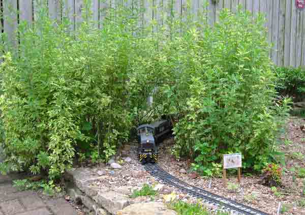 using_shrubs5