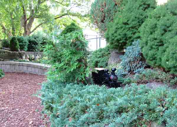 using_shrubs6
