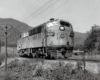 A train traveling through a grassy area