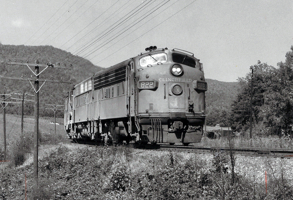 A train traveling through a grassy area