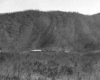 A far away black and white picture of Train 37 moving through the mountains