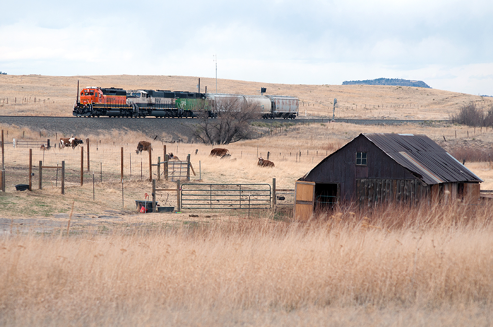 An unusual, short, BNSF Railway train heads south on the Joint Line between Denver and Pueblo, Colo.