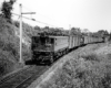 A train turning a corner in a grassy area