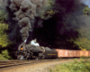A train with big black smoke coming out of its chimney, passing by a forest