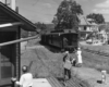 Passengers walking around a train