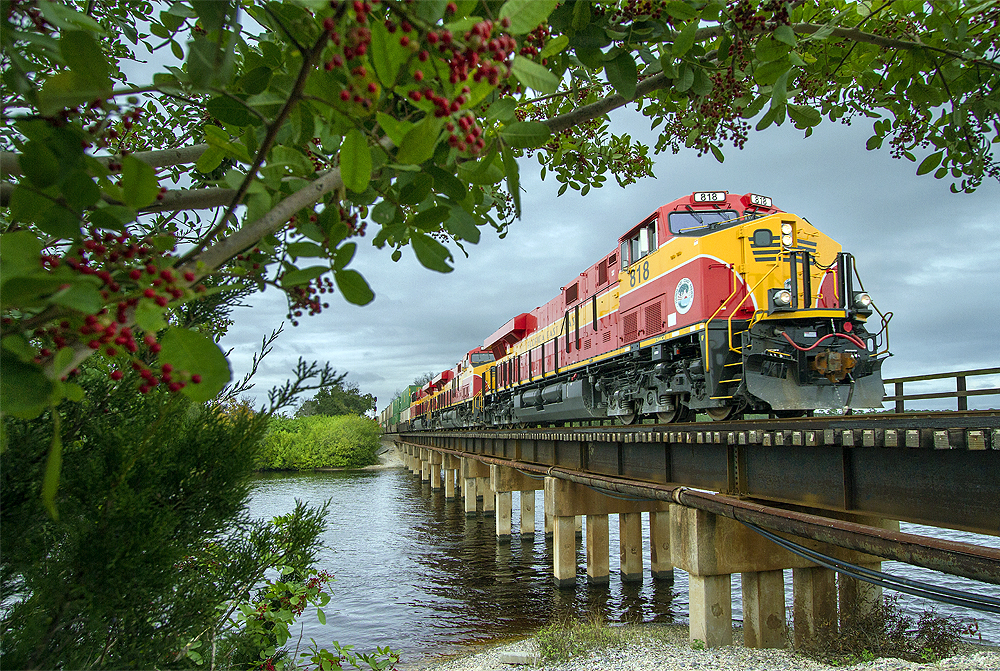 A Florida East Coast train.