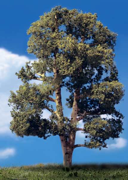 Woodland Classics ready-made trees by Woodland Scenics
