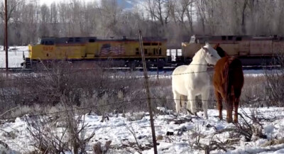 Charlie’s Trackside Postcards: East to Evanston